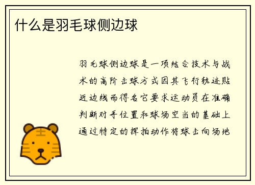 什么是羽毛球侧边球