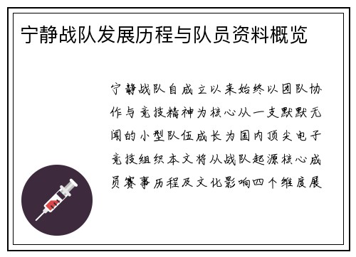 宁静战队发展历程与队员资料概览